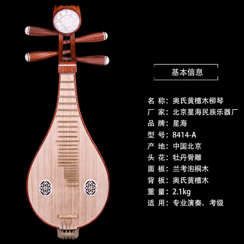 Beijing Xinghai 8414-A Rosewoo - огляд і ціна Music