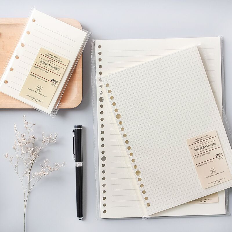 A5 B5 Line Grid 20Holes Loose- - огляд і ціна A5 Spiral Dotted Grid Notebook
