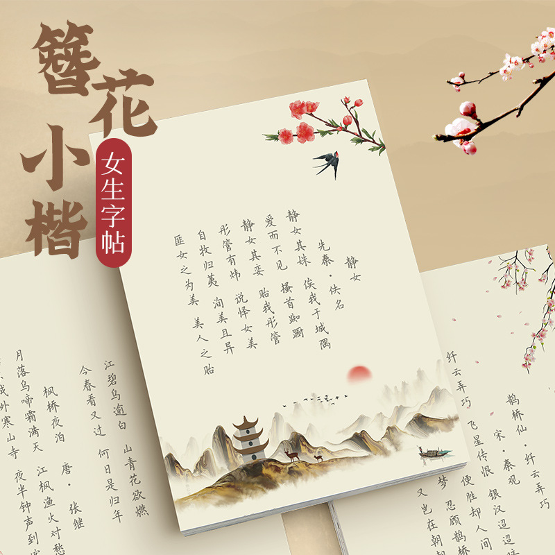 Hairpin Flower Small Kai Calli - огляд і ціна Chinese Calligraphy Practice Book