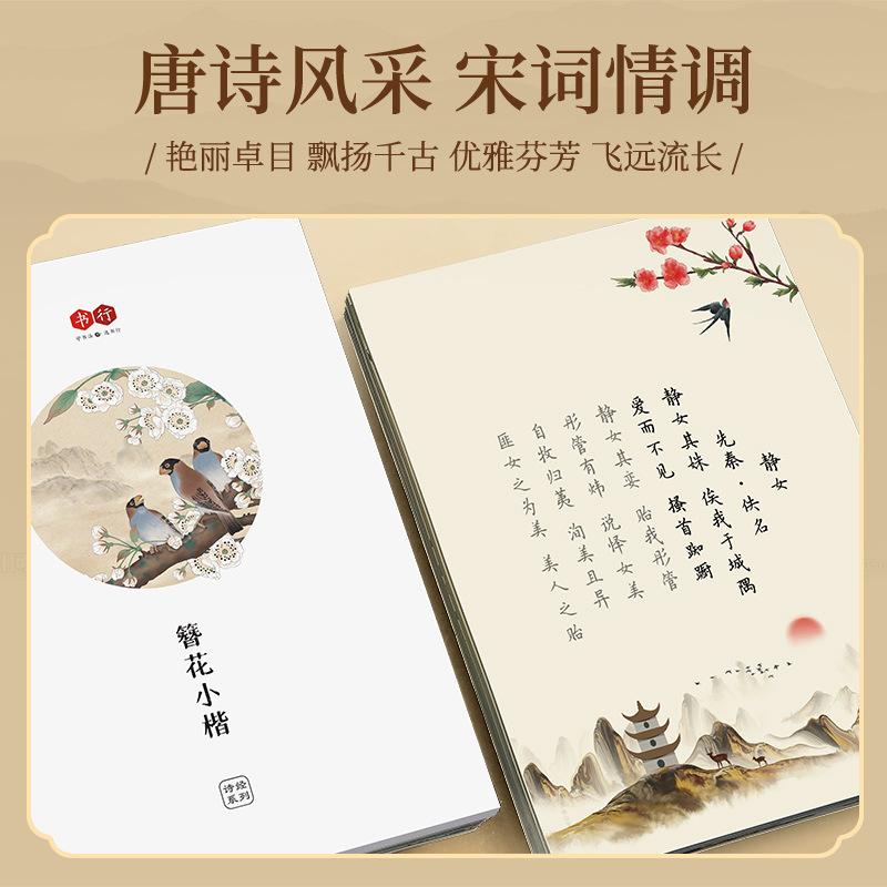 Hairpin Flower Small Kai Calli - огляд і ціна Chinese Calligraphy Practice Book