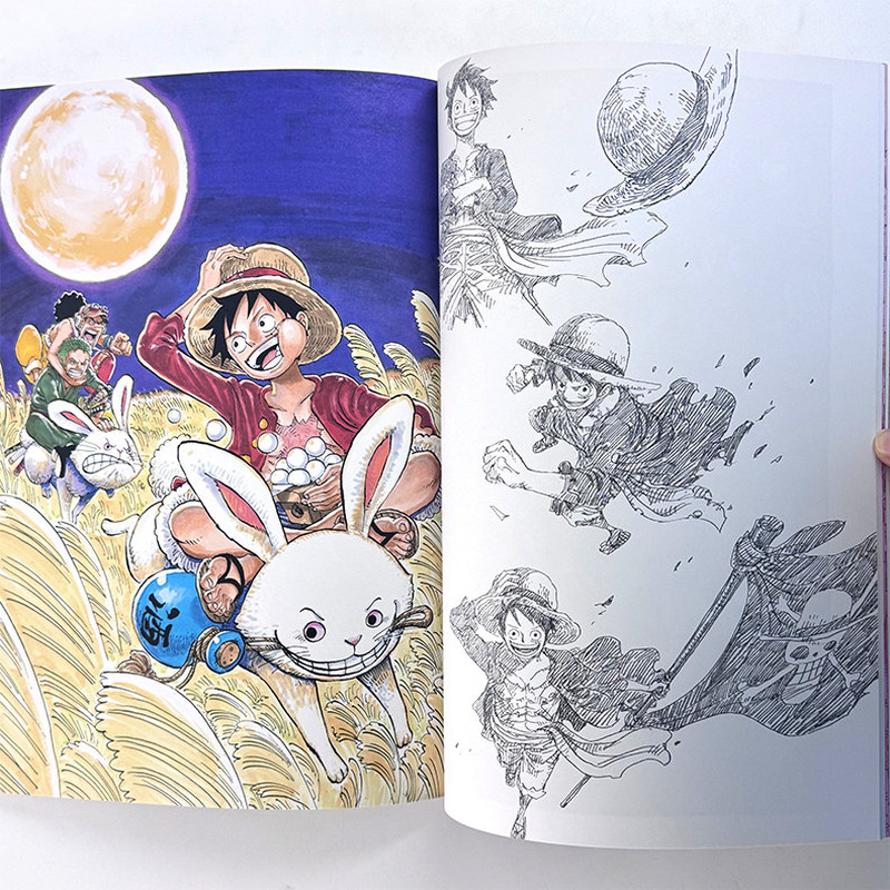 One Piece Illustration Book Co - огляд і ціна Stationery Books