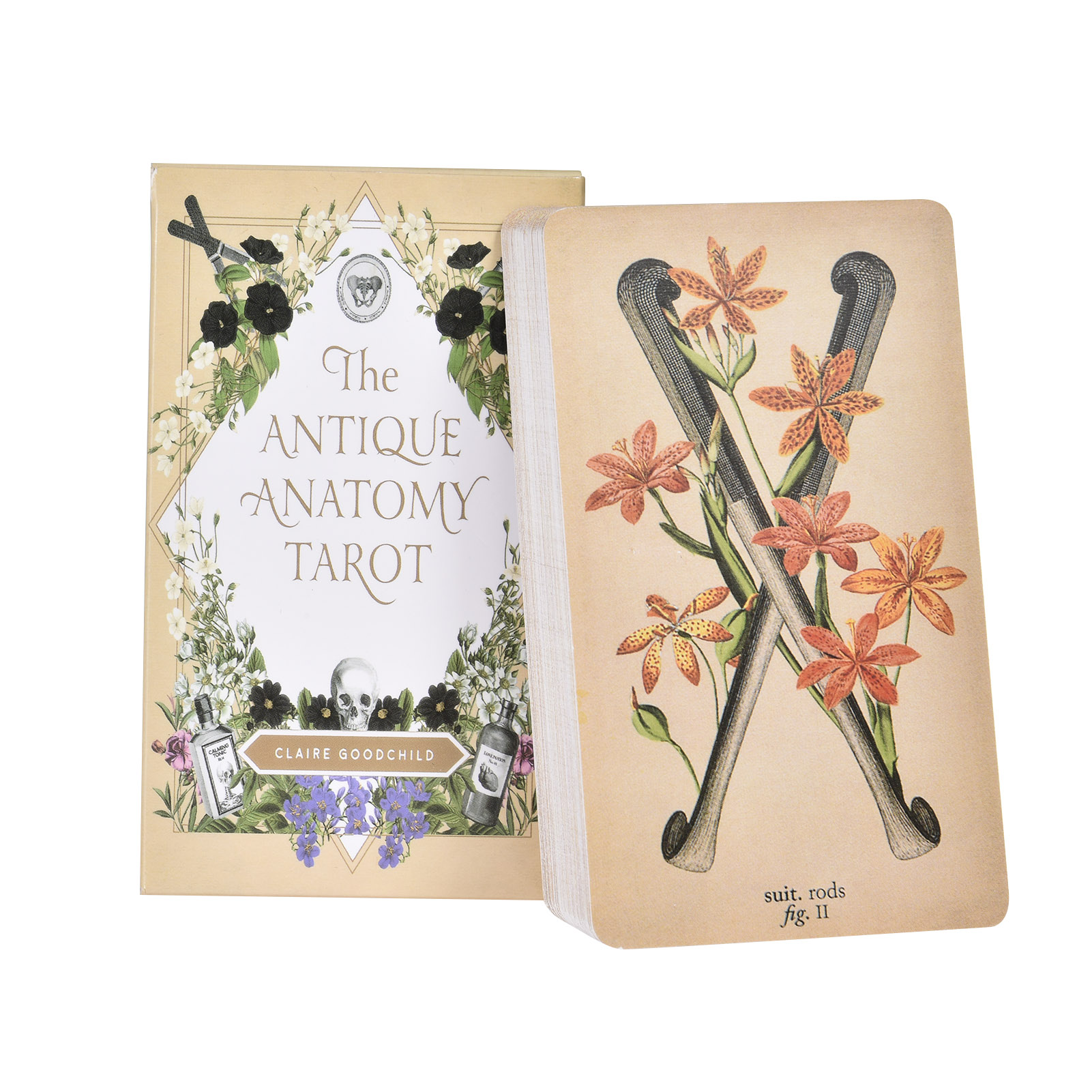 The Antique Anatomy Tarot Card - огляд і ціна Tarot Deck With Guidebook