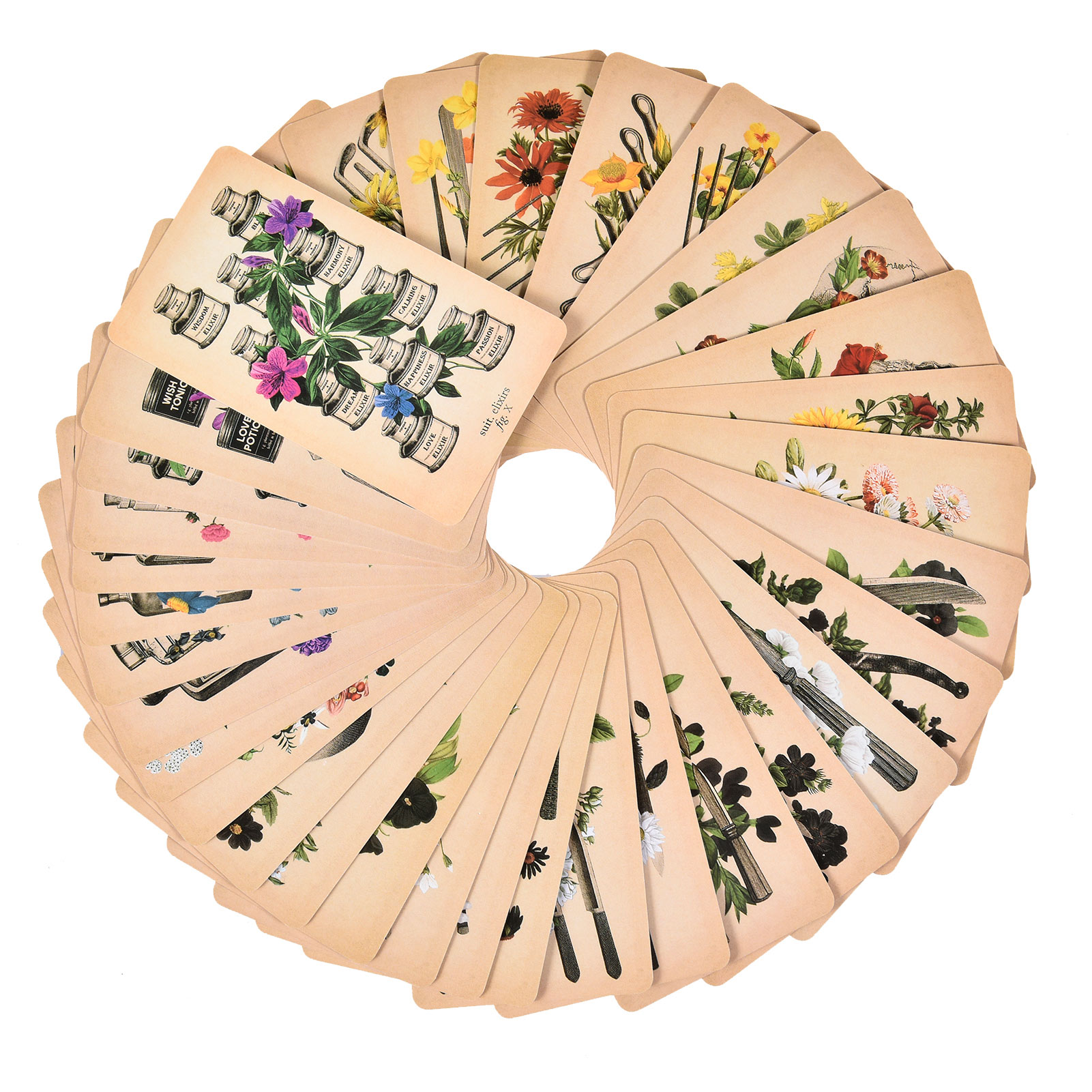 The Antique Anatomy Tarot Card - огляд і ціна Tarot Deck With Guidebook